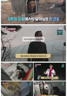 TV 동물농장.E1217.250406.1080p-F1RST