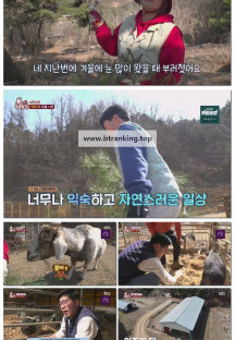 TV 동물농장.E1219.250420.1080p-F1RST