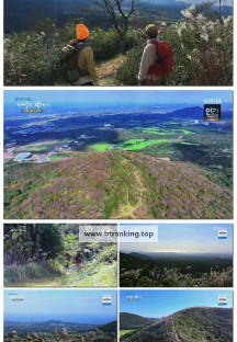 트레킹노트 세상을 걷다.E394.251122.720p-F1RST