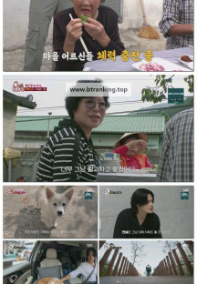 TV 동물농장.E1249.251130.1080p-F1RST