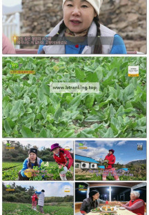 2TV 생생정보.E2420.251124.720p-F1RST