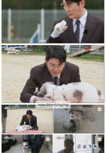 개는 훌륭하다.E231.251113.1080p-F1RST