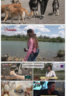 TV 동물농장.E1228.250629.1080p-F1RST