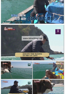 TV 동물농장.E1224.250601.1080p-F1RST