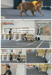 집 나가면 개호강.E05.250622.1080p-F1RST