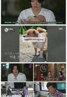 TV 동물농장.E1248.251123.1080p-F1RST