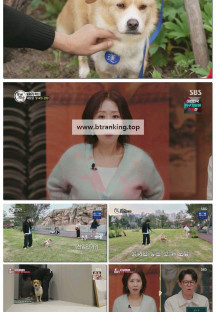 TV 동물농장.E1247.251116.1080p-F1RST