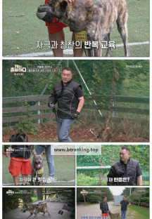 개는 훌륭하다.E226.251009.1080p-F1RST