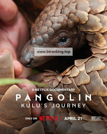 [내장한글] 천산갑: 쿨루의 여정 Pangolin Kulus Journey 2025 [1080p] [WEBRip] [5.1] [YTS.MX]