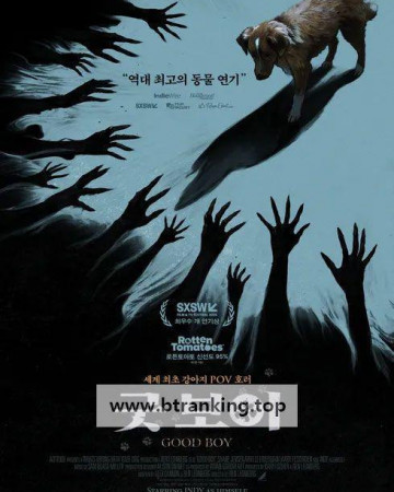 굿 보이 Good Boy 2025 1080p WEB-DL HEVC x265 5.1 BONE