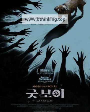 굿 보이 Good Boy (2025) (1080p AMZN WEB-DL x265 10bit EAC3 5.1 Ghost)