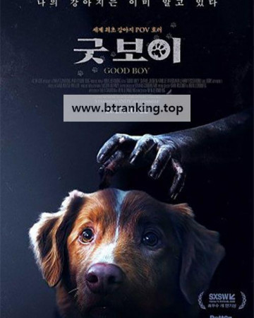 굿 보이 Good Boy (2025) [1080p] [WEBRip] [5.1] [YTS.MX]