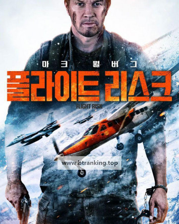 플라이트 리스크 Flight.Risk.2025.1080p.10bit.WEBRip.6CH.x265.HEVC-PSA