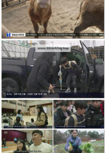 인간극장.E6072.250328.1080p-F1RST