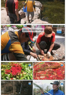 팔도밥상.E399.250426.1080p-F1RST