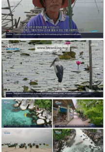 걸어서세계속으로트래블홀릭.E154.250427.1080p-F1RST