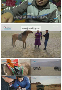 걸어서세계속으로트래블홀릭.E157.250502.1080p-F1RST