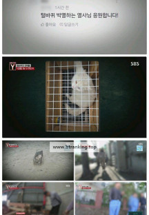 궁금한 이야기 Y.E731.250502.1080p-F1RST