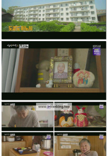 다큐 인사이트.E238.250515.1080p-F1RST
