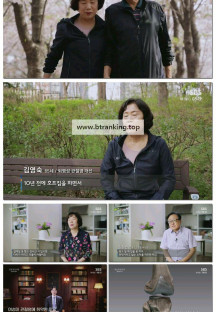 일요 특선 다큐멘터리.E372.250518.1080p-F1RST