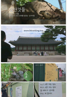 다큐 인사이트.E255.251016.1080p-F1RST