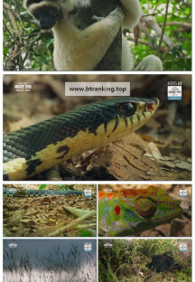 추석 특선 다큐 작지만 위대한 모험.E03.251008.1080p-F1RST