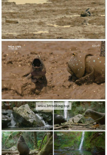 추석 특선다큐 바닷속 스파이.E02.251007.1080p-F1RST