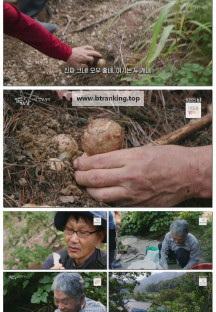 팔도밥상.E420.251025.1080p-F1RST