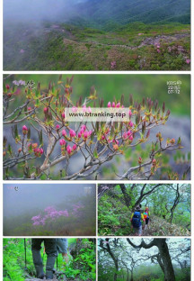 영상앨범 산.E993.250622.1080p-F1RST