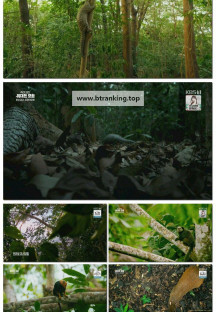 추석 특선 다큐 작지만 위대한 모험.E02.251007.1080p-F1RST