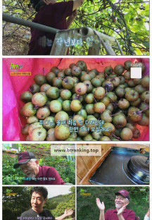 2TV 생생정보.E2378.250917.720p-F1RST