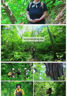 영상앨범 산.E992.250615.1080p-F1RST