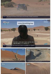 걸어서세계속으로트래블홀릭.E244.250913.1080p-F1RST