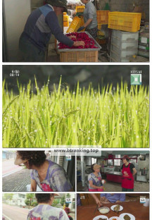 인간극장.E6208.251006.1080p-F1RST