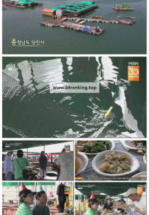 휴먼다큐 사노라면.E704.250907.1080p-F1RST