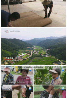 팔도밥상.E417.250920.1080p-F1RST