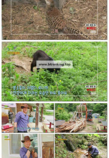 2TV 생생정보.E2300.250526.720p-F1RST