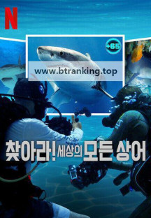 찾아라! 세상의 모든 상어 E01~E06 END [자체자막] 2025.1080p.KORSUB.WEBRip.H264.AAC
