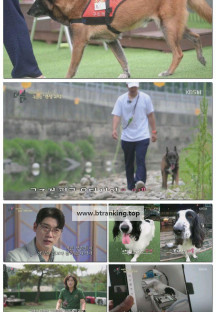 더 보다.E64.250629.1080p-F1RST